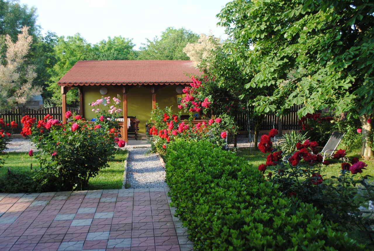 Vila Delta Travel - Mila 23 Мила-Доуэзечи-ши-Трей Экстерьер фото